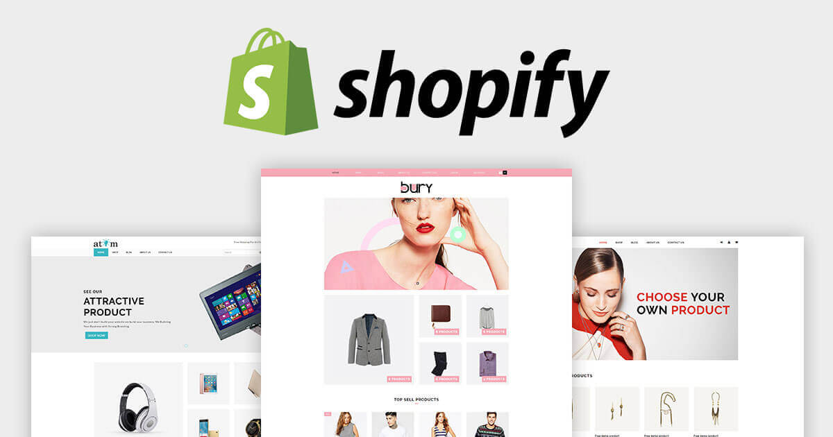 shopify website developer in south delhi